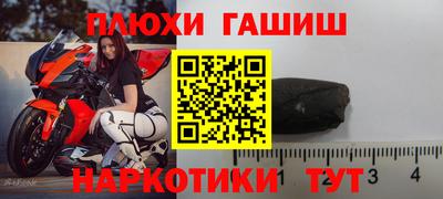 прущие грибы Лесосибирск
