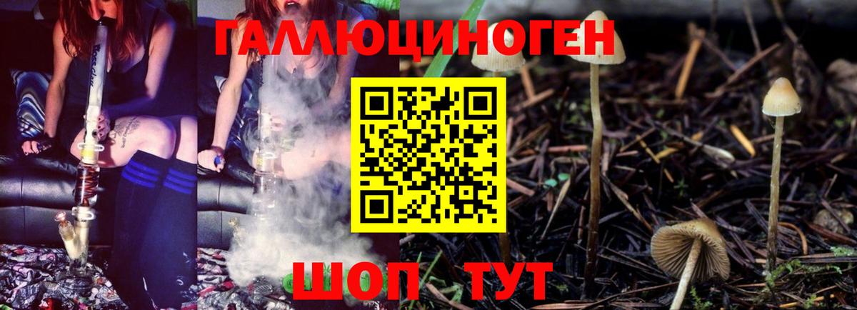 Псилоцибиновые грибы GOLDEN TEACHER  Вход с VPN  Ивантеевка  Галлюциногенные грибы ЛСД 
